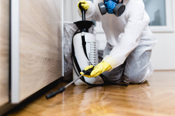 Best Pest Control Treatment  in Grissom Af, IN
