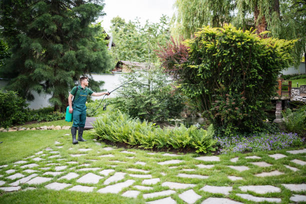 Best Local Pest Control Services  in Grissom Af, IN