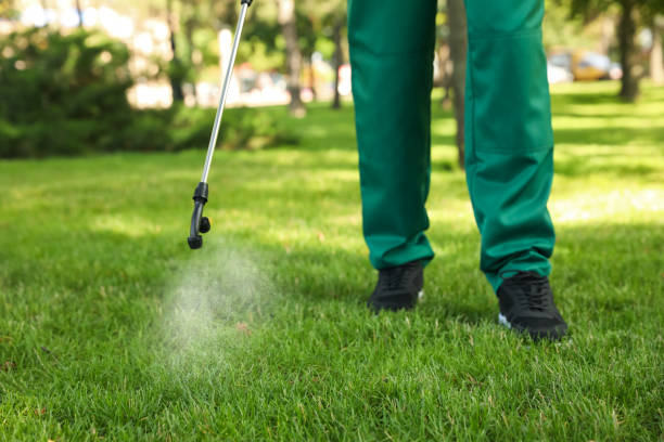 Best Flea Control Services  in Grissom Af, IN