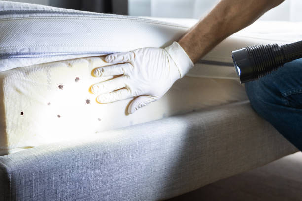 Best Pest Inspection Near Me  in Grissom Af, IN
