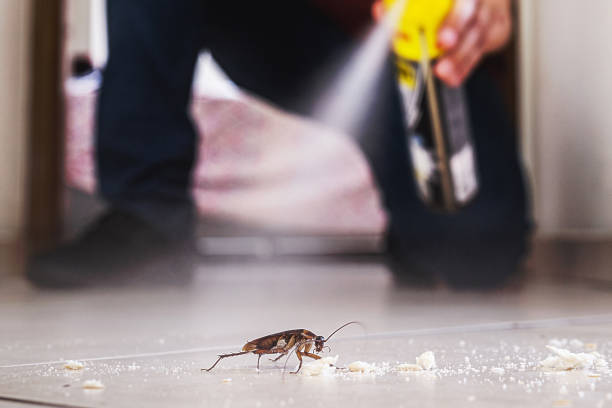 Best Pest Control for Restaurants  in Grissom Af, IN