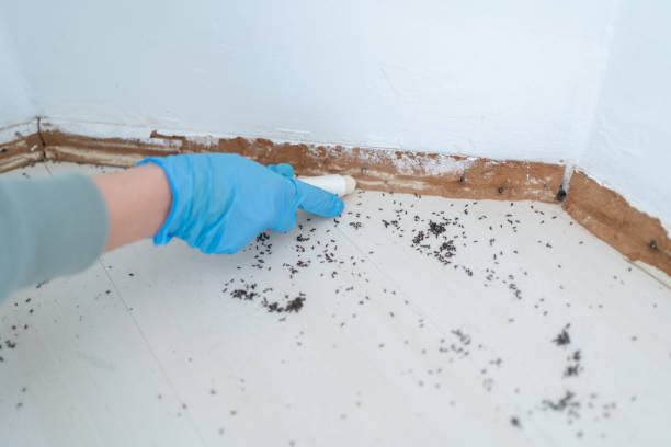 Best Wildlife Control Services  in Grissom Af, IN