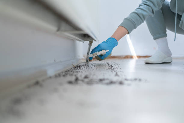 Best Affordable Pest Control Services  in Grissom Af, IN