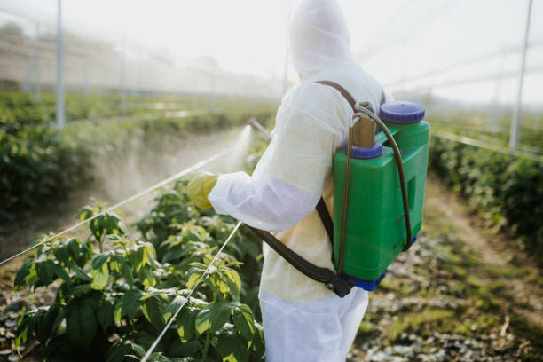 Reliable Grissom Af, IN Pest Control Solutions